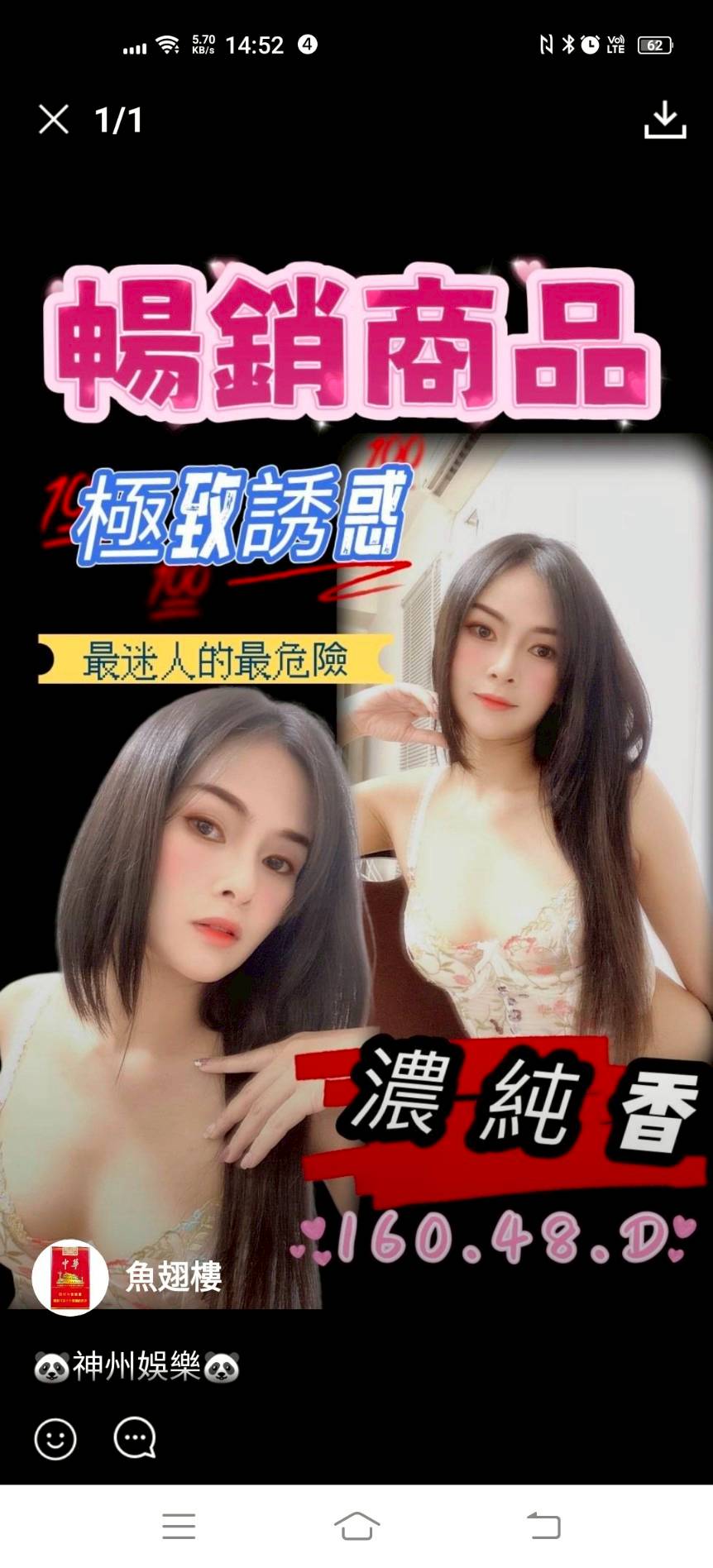 澎湖 百靈 茶妹34C